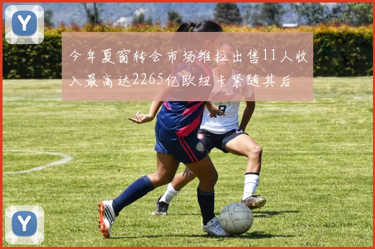 今年夏窗转会市场维拉出售11人收入最高达2265亿欧纽卡紧随其后
